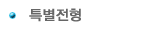특별전형